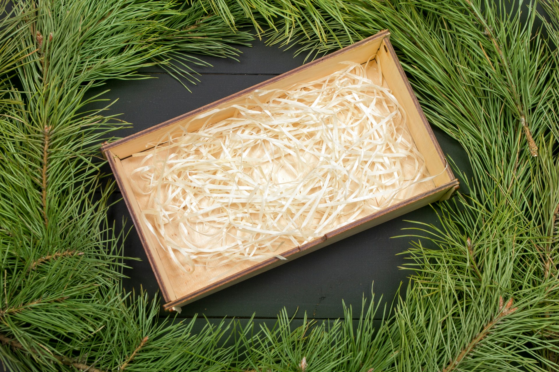 Kraft tray DIY Christmas gift boxes filled with white paper shred and framed by fresh pine
