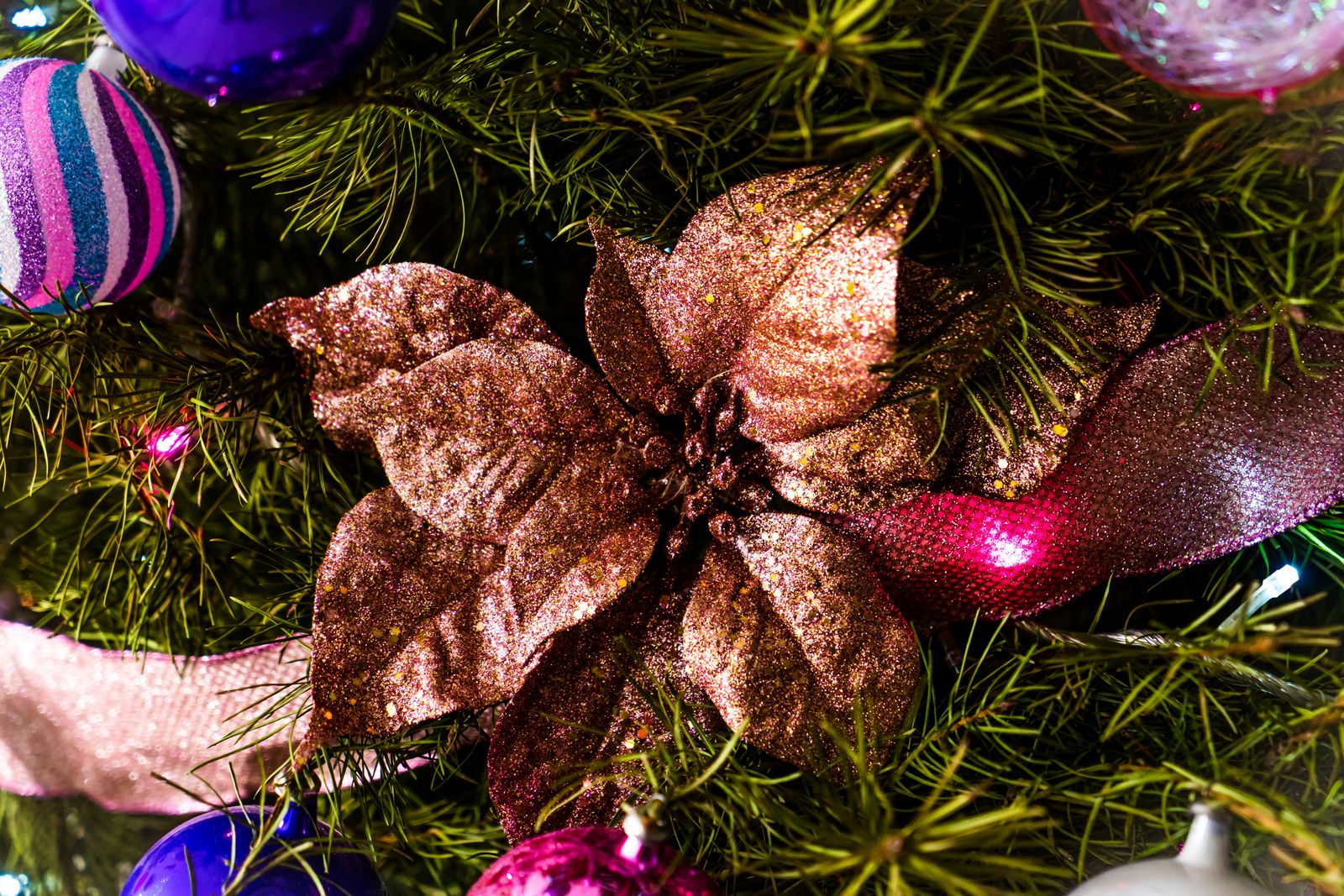 A copper glitter poinsettia clip ornament on a tree with colorful ornaments