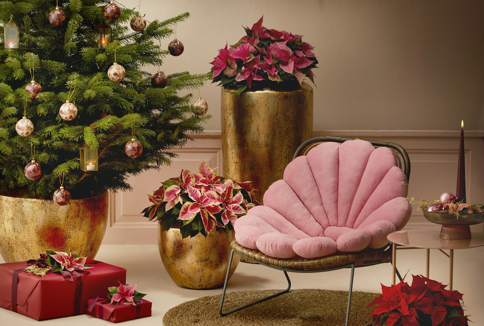 Pink and red poinsettias in gold painted pots beside a Christmas tree and a pink chair