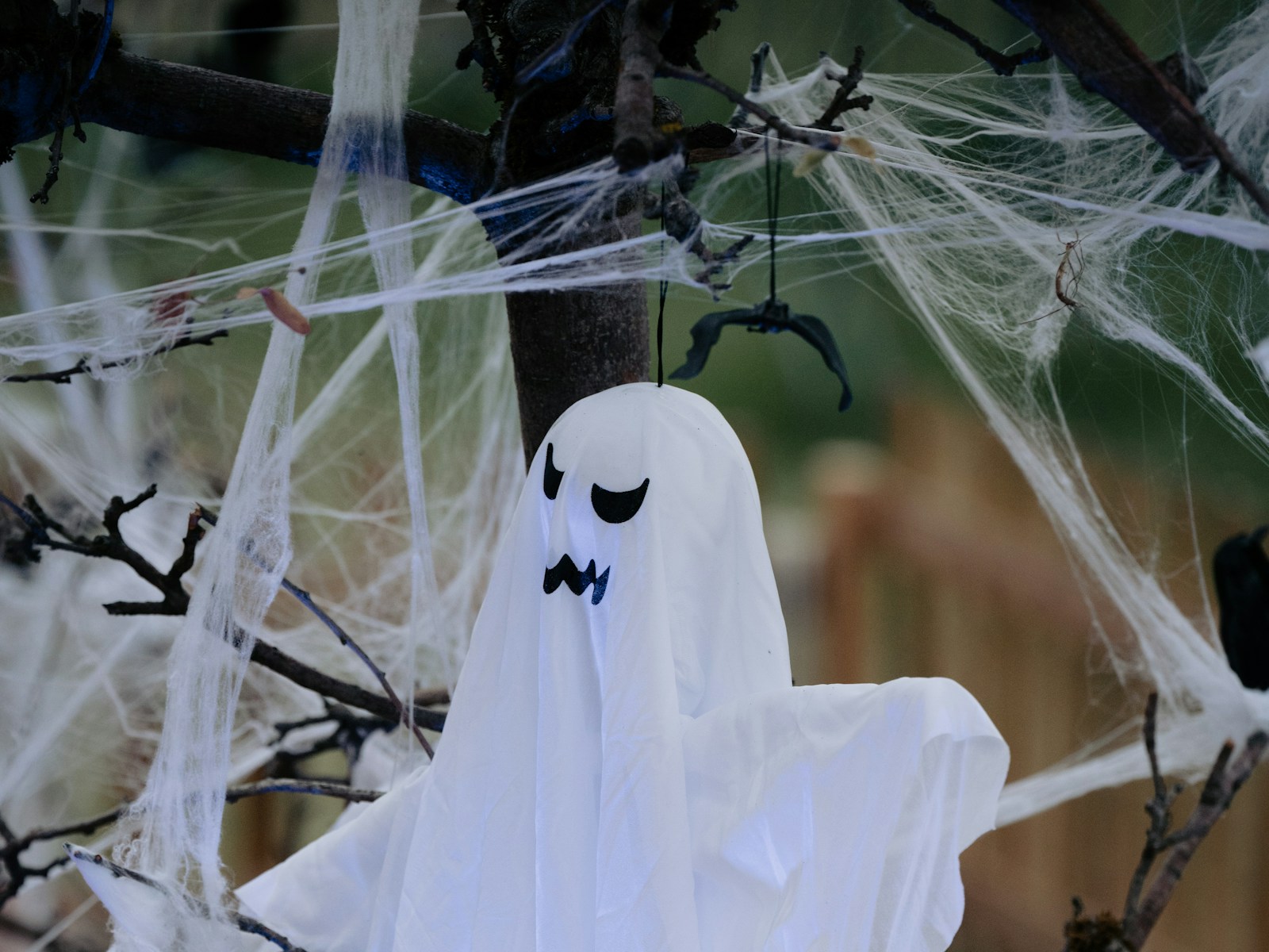 Martha Stewart Halloween hanging ghost in a tree wrapped in stretchy spider web