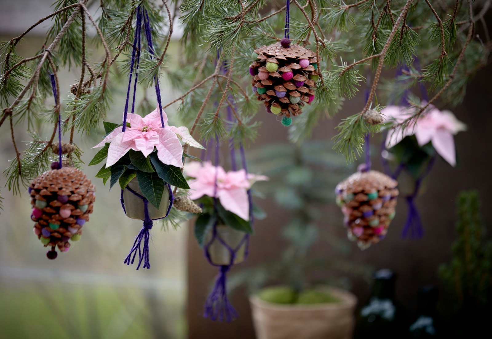 Cones and pink flowers hanging on ribbons from evergreen branches