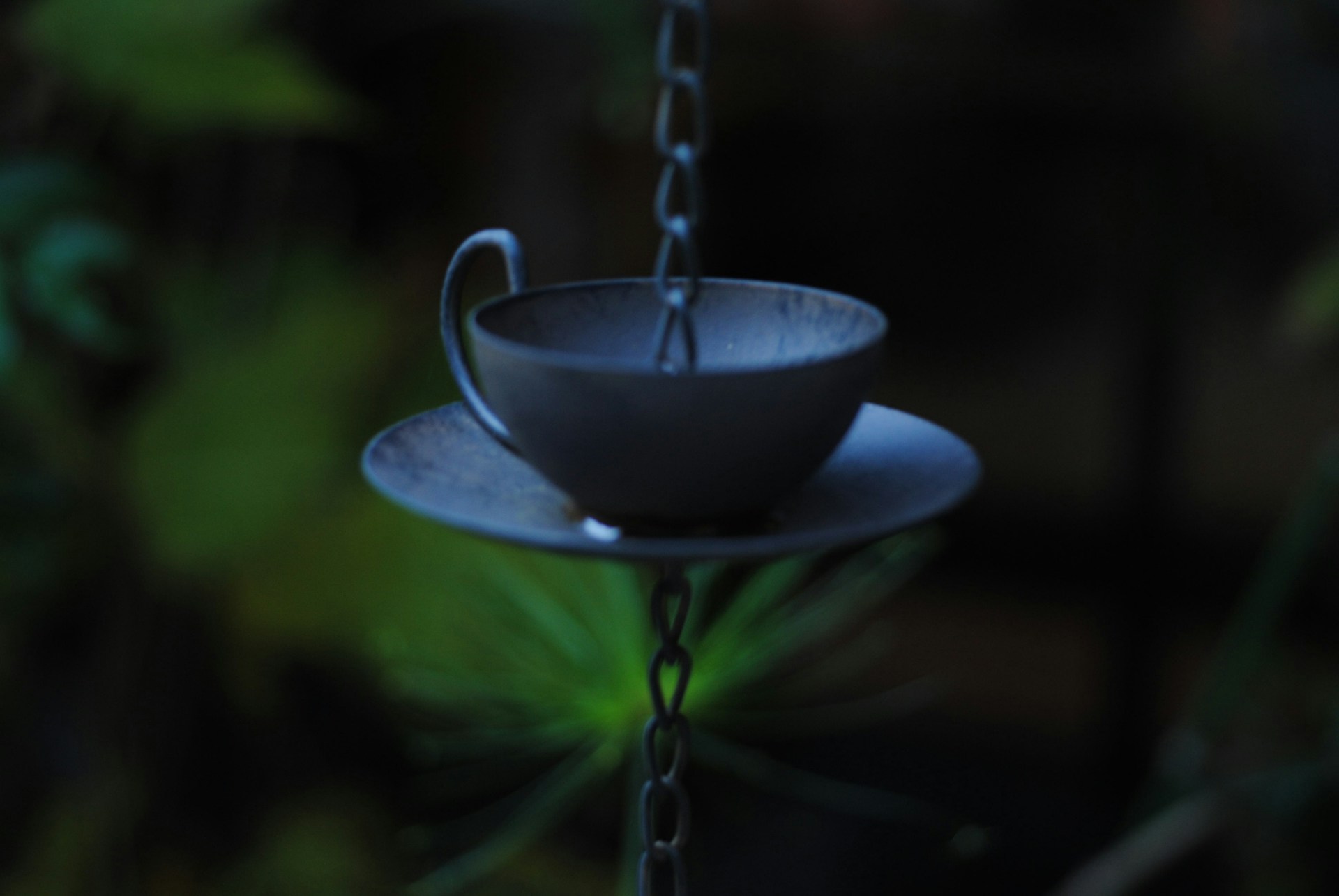 Teacup and saucer bird feeder hanging from a chain in the garden