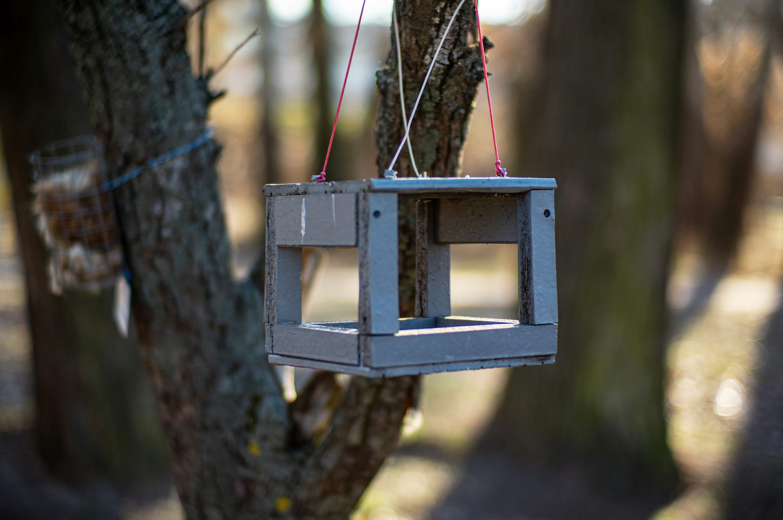 Gray wooden hanging tray bird feeder in the woods