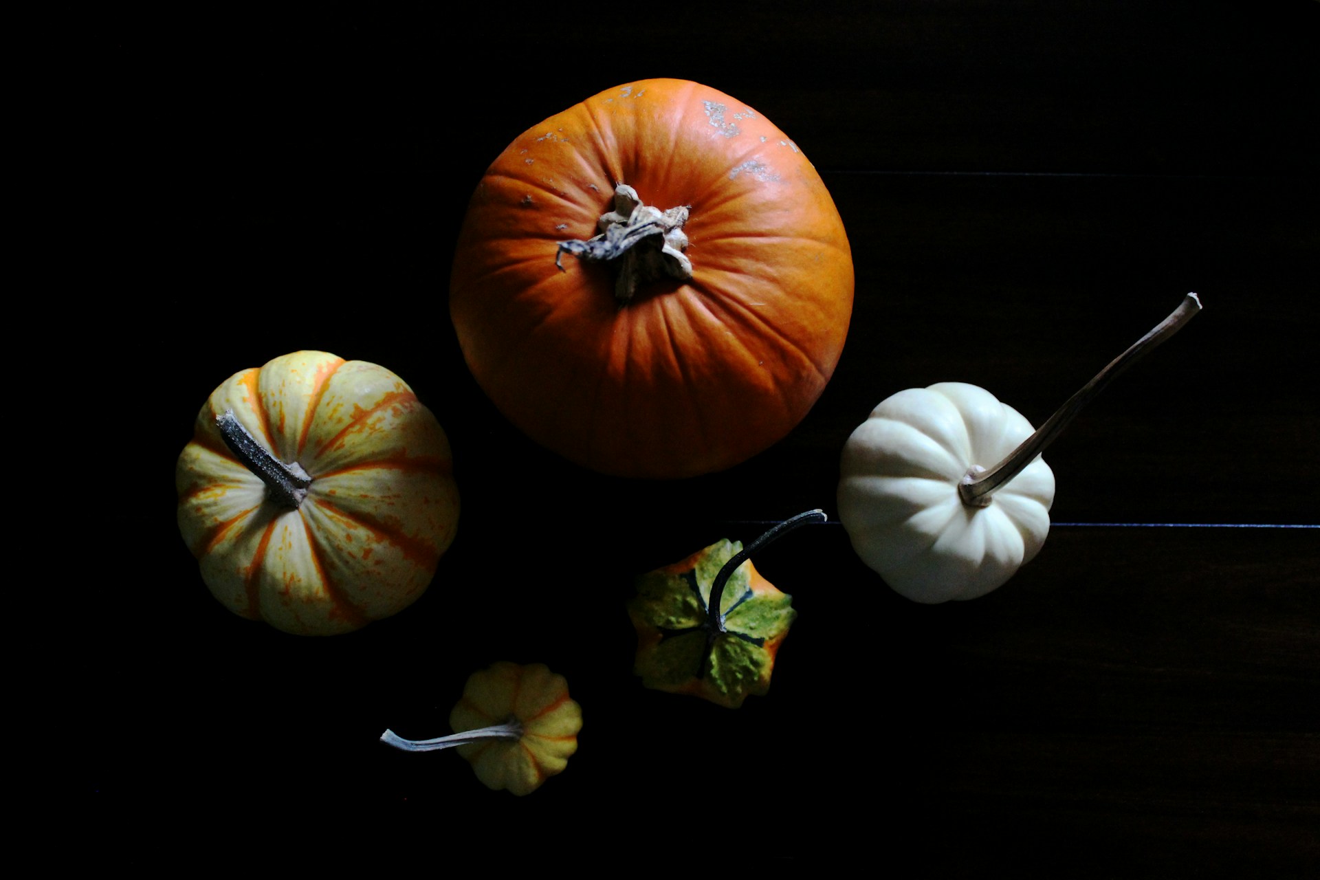 Martha Stewart Halloween pumpkin vignette of orange, white and striped heirloom pumpkins on black