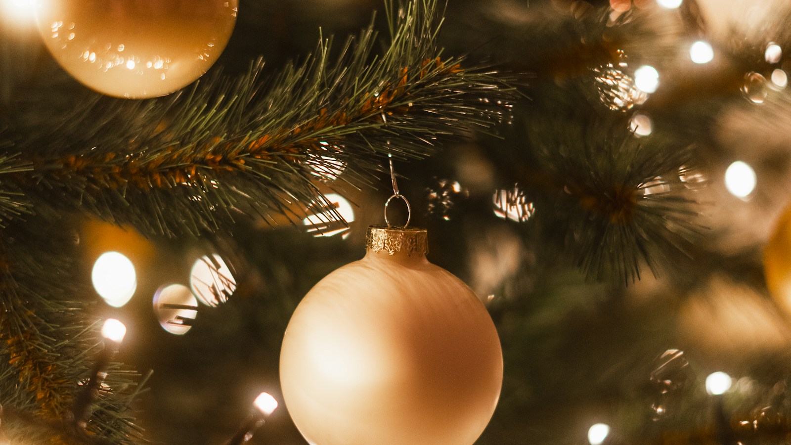 Kendall Jenner Christmas Tree lighting: champagne ornament glowing among warm white lights on a green tree
