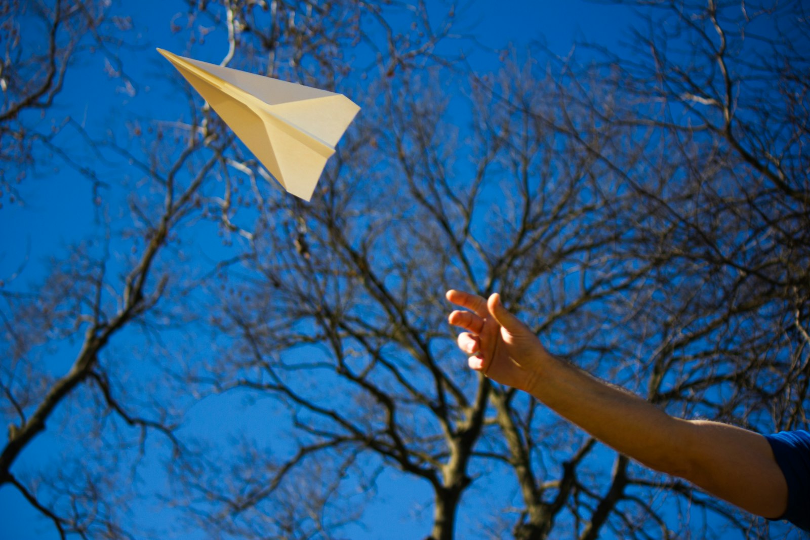 Hand launching a paper airplane into a blue sky past bare branches