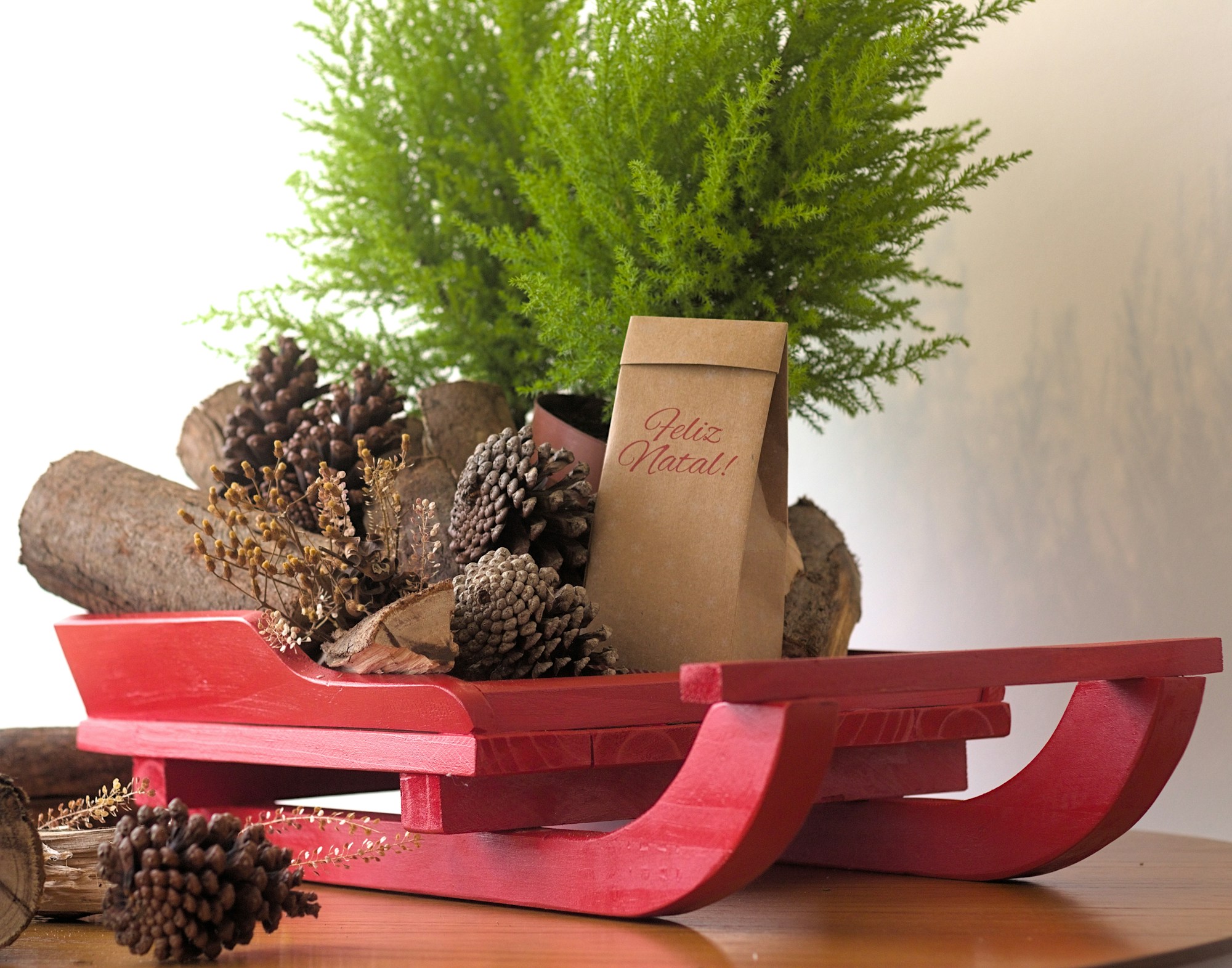 Red wooden sled holding a small evergreen tree and pine cones