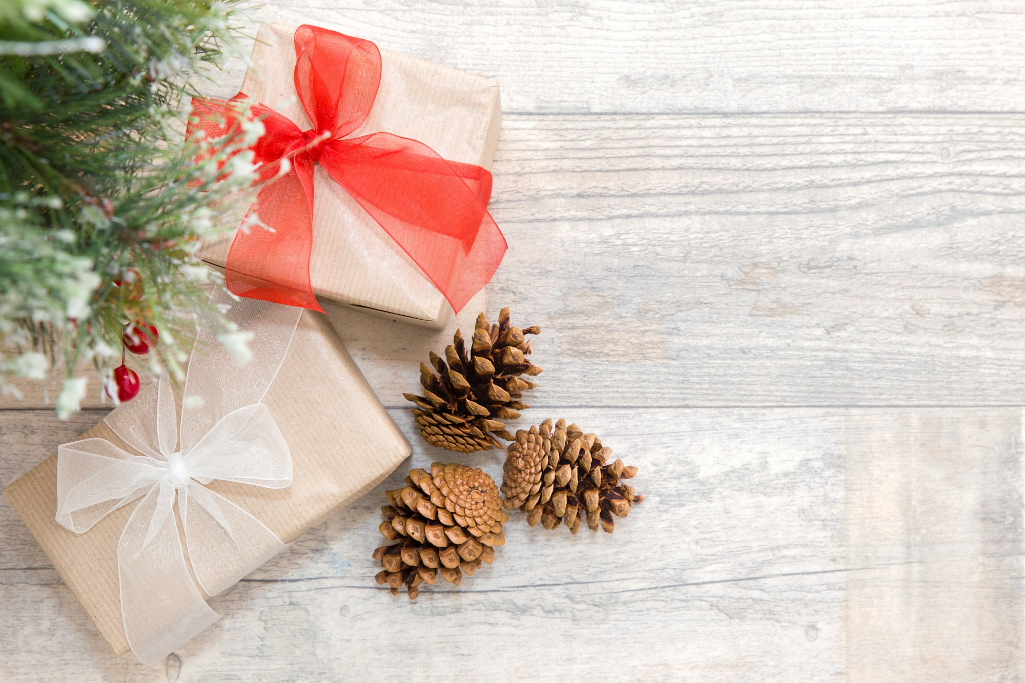 Kraft wrapped gifts with sheer red and white bows and small pine cones
