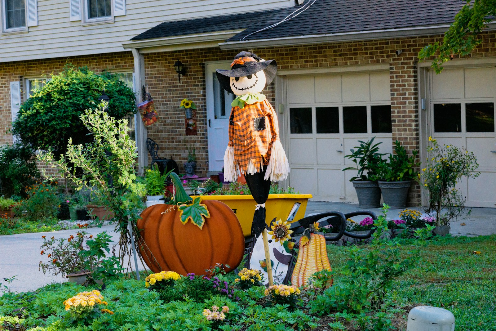 Homemade scarecrow with a pumpkin head standing in a front yard