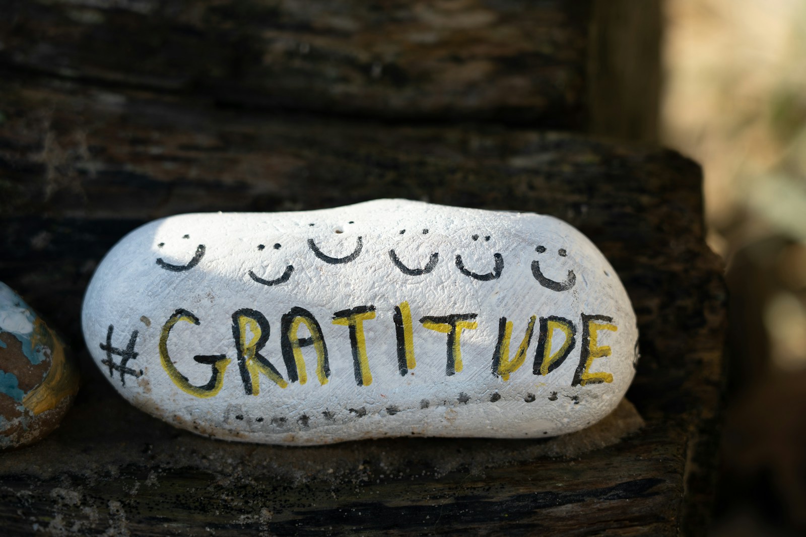 Smooth white rock hand painted with the word gratitude