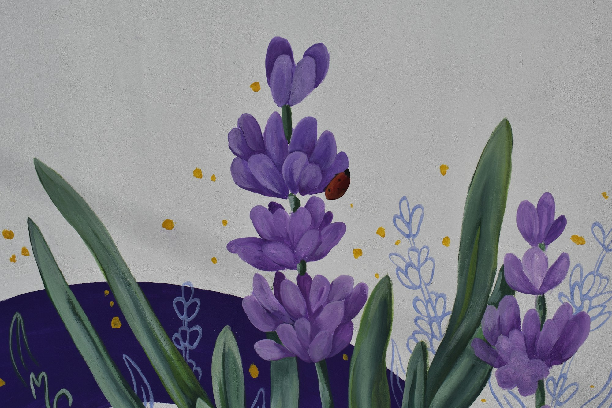 Purple lavender sprigs with a tiny ladybug