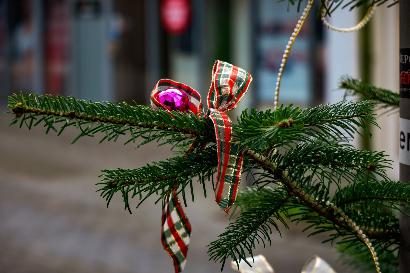 A plaid ribbon bow and a pink ornament tied on a fresh pine branch