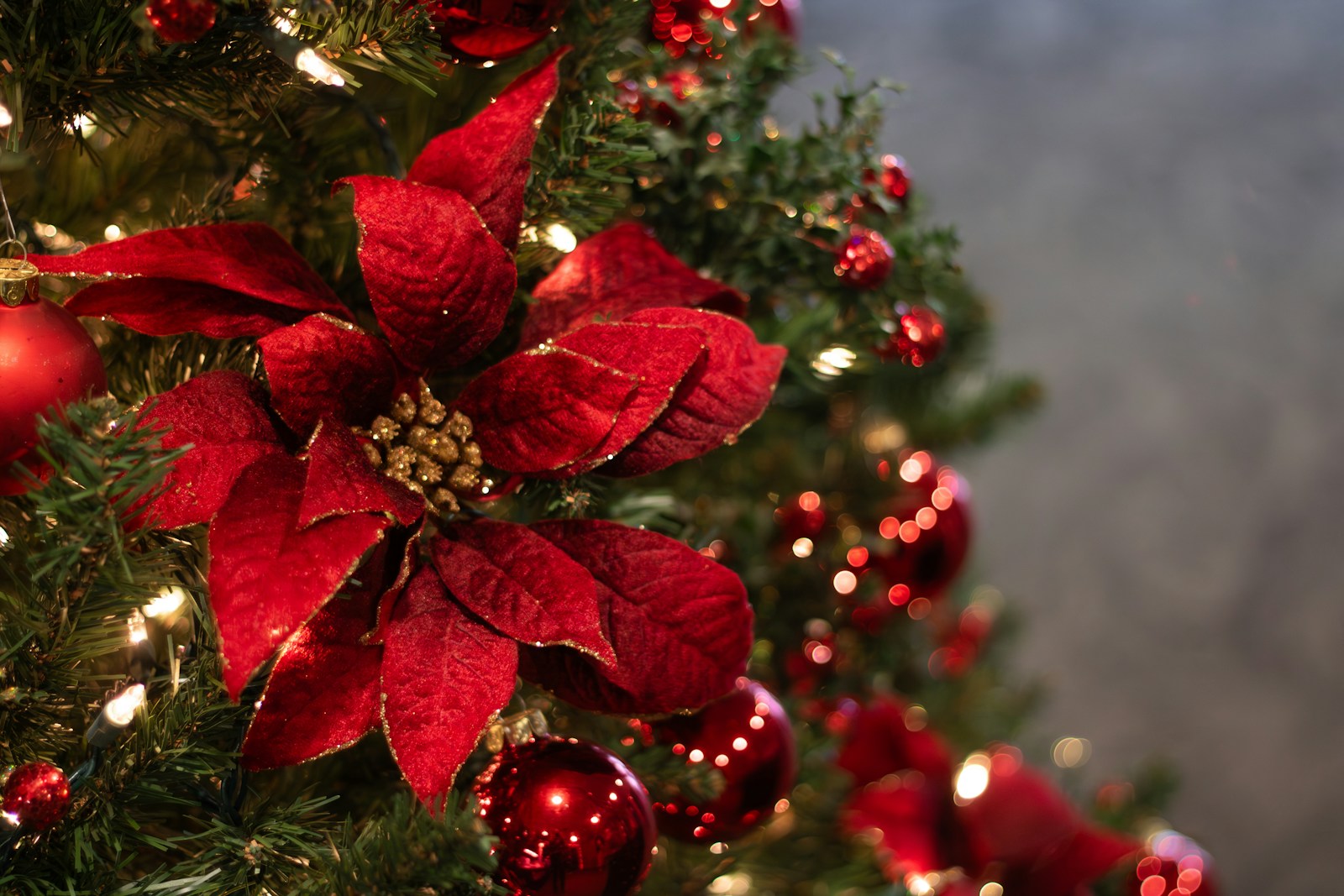 A red glitter poinsettia pick tucked into a lit Christmas tree with red ornaments