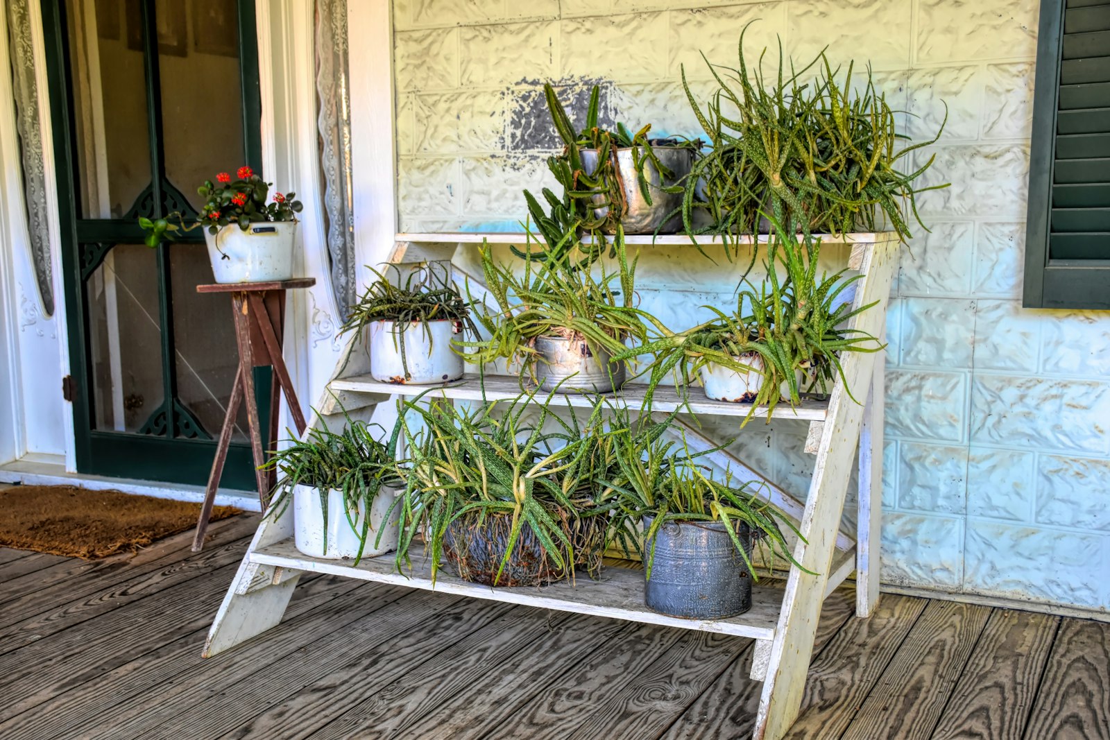 Ladder style shelf filled with potted plants on a front porch