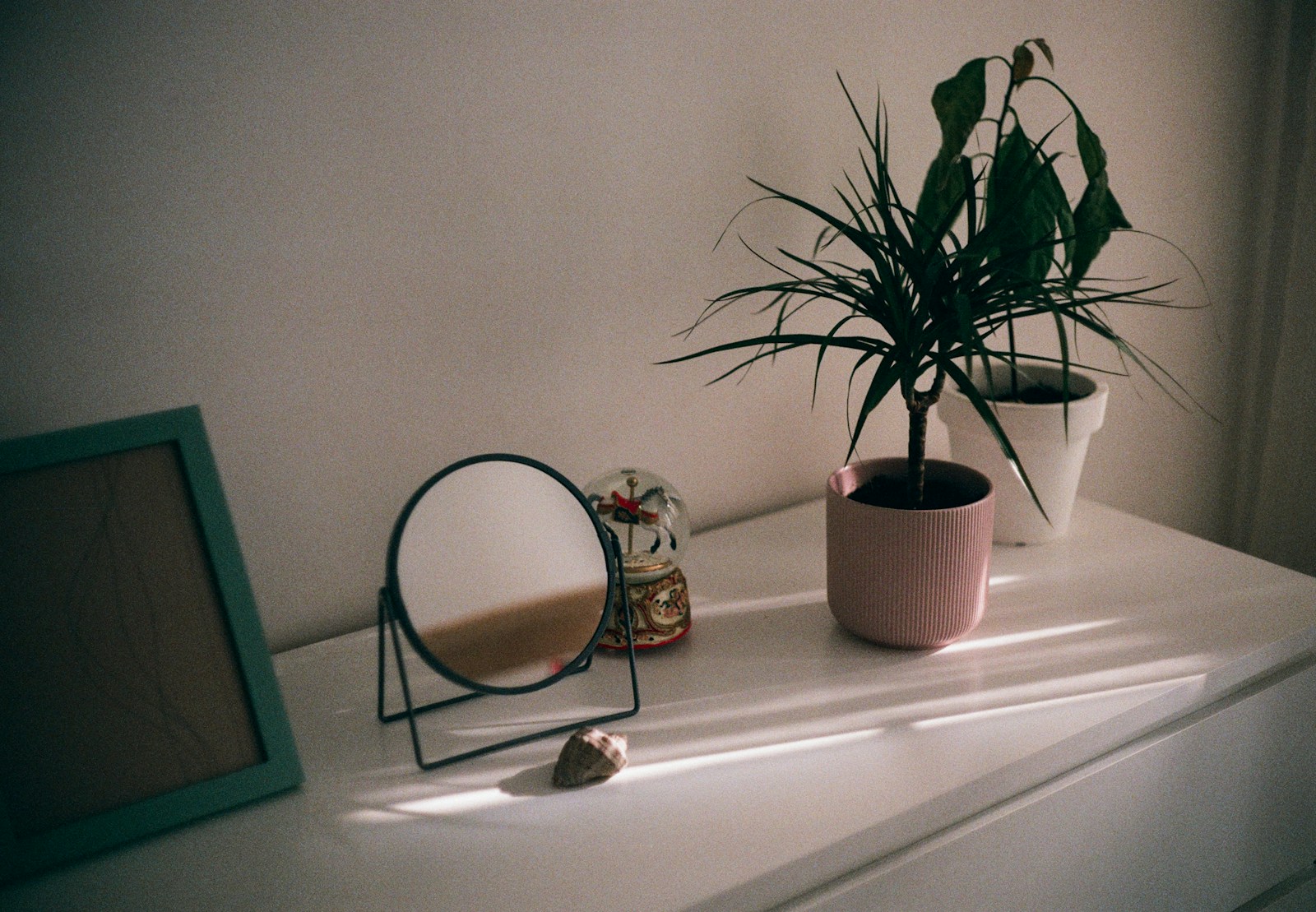 Potted plant on a white dresser against the wall