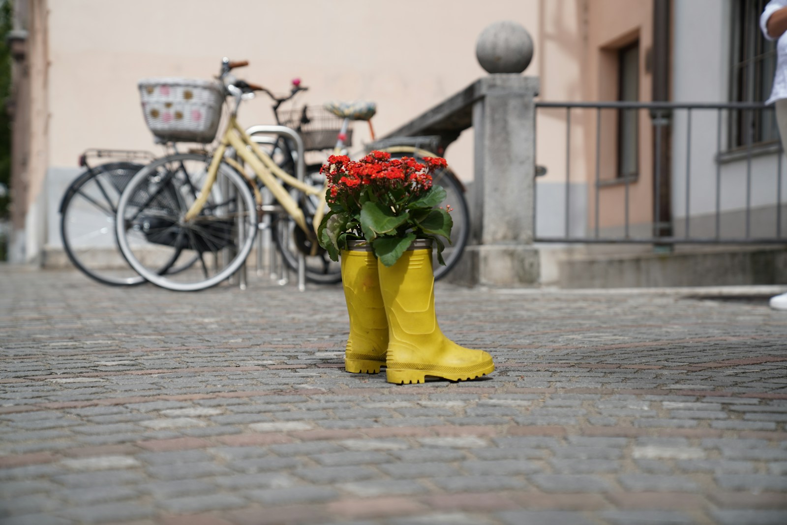 Yellow rain boots used as a planter with red flowers on a cobbled street