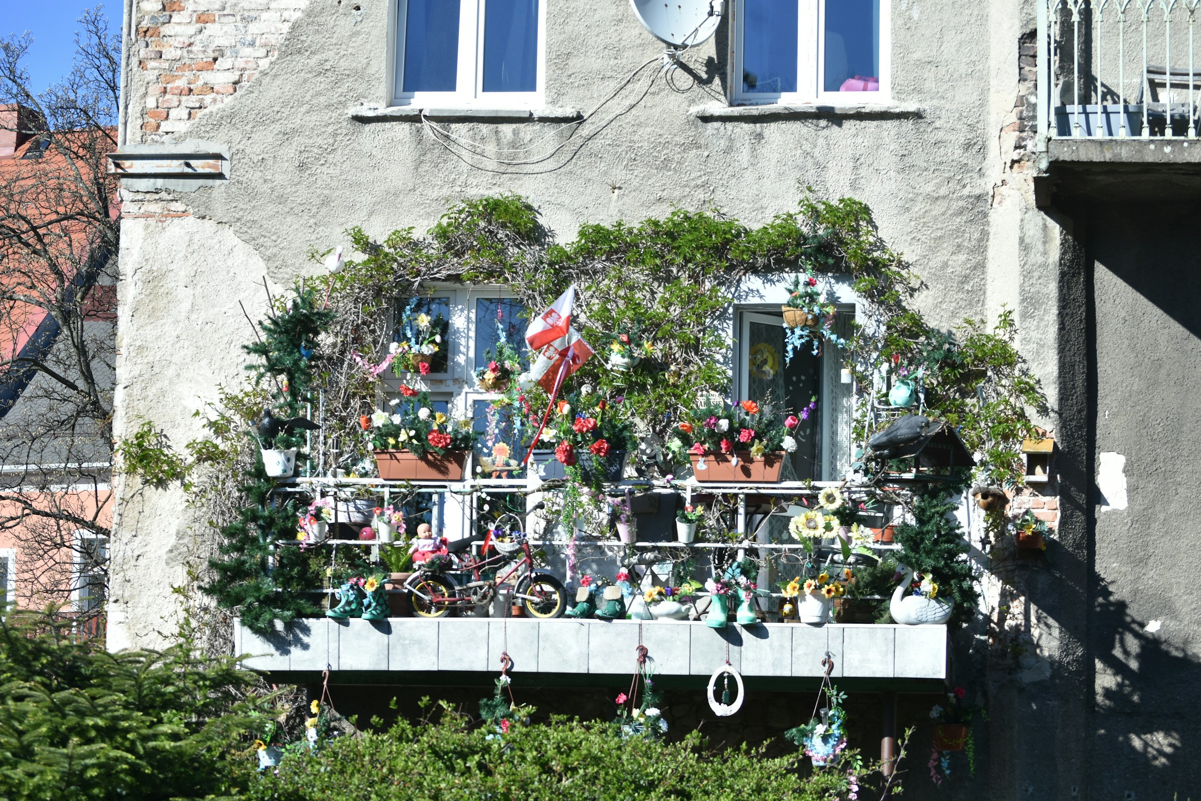 Small apartment balcony overflowing with plants and decorations