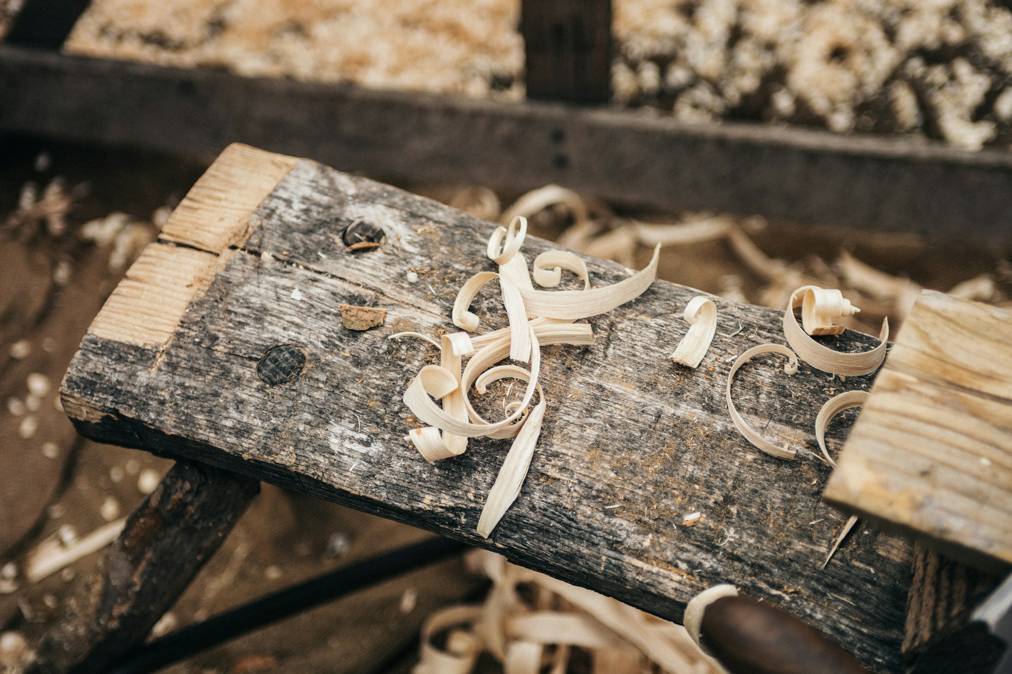 Fresh sawdust on a wooden plank in a workshop