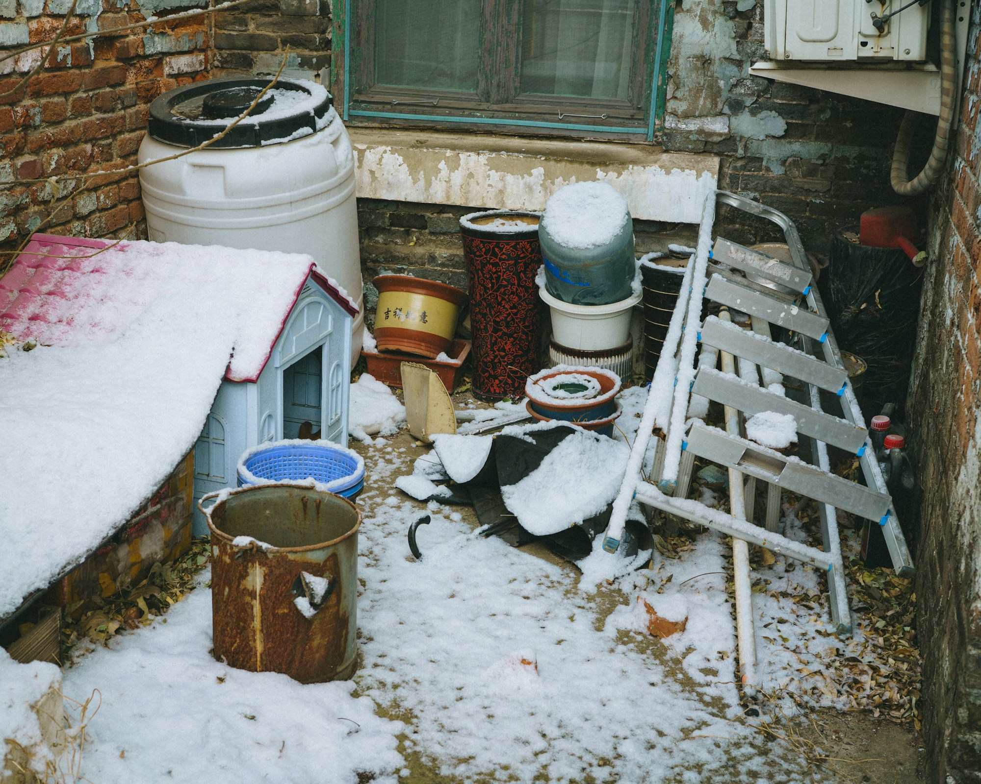Snowy backyard with a dog house set near the fence