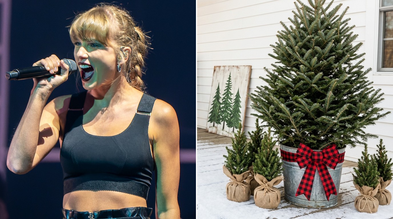 Taylor Swift Christmas tree farm cover: Taylor Swift on stage and a porch tree in a galvanized bucket