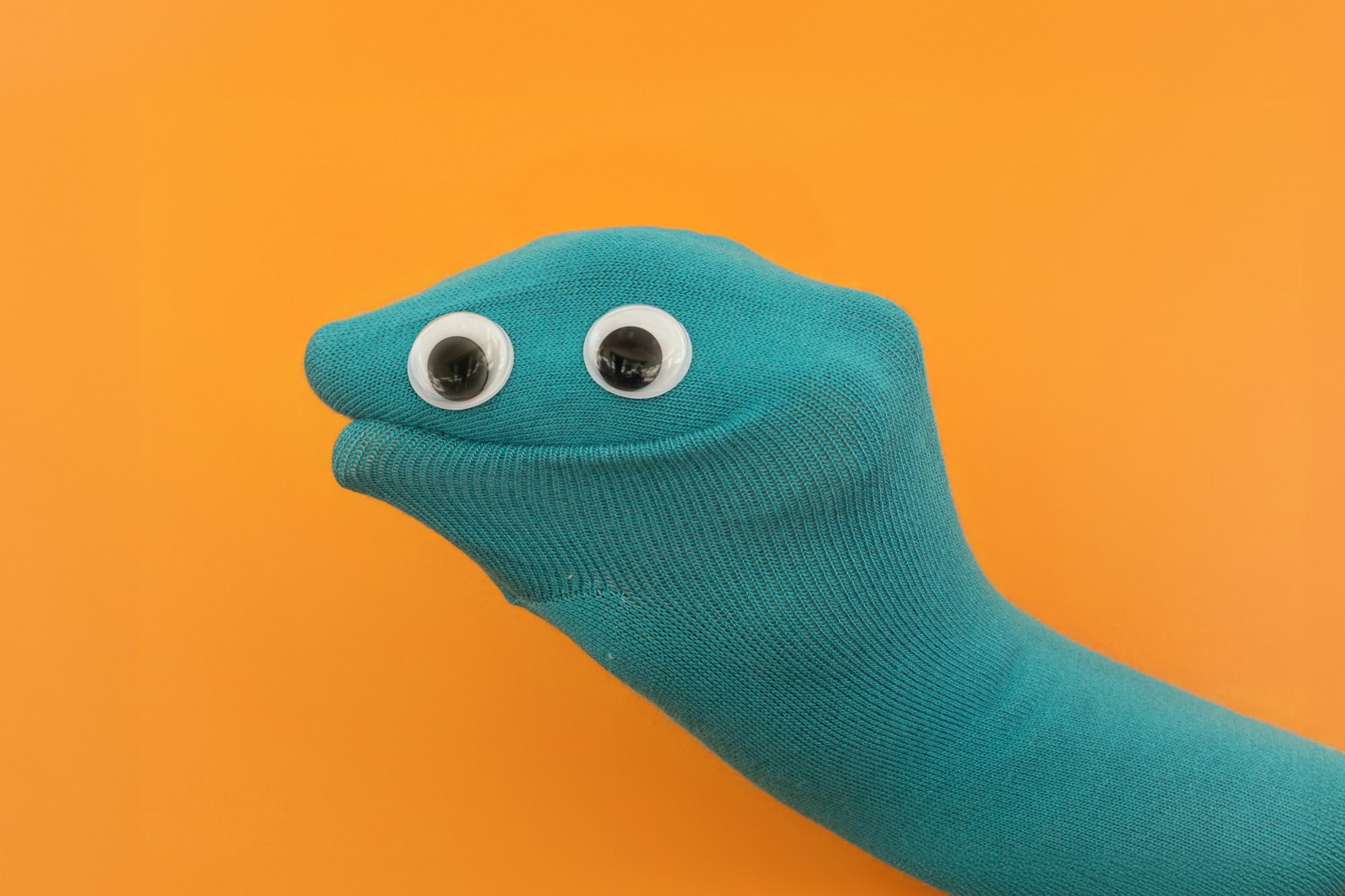 No-Sew Sock Animals: 14 Cozy Critters - Out of This World Desserts