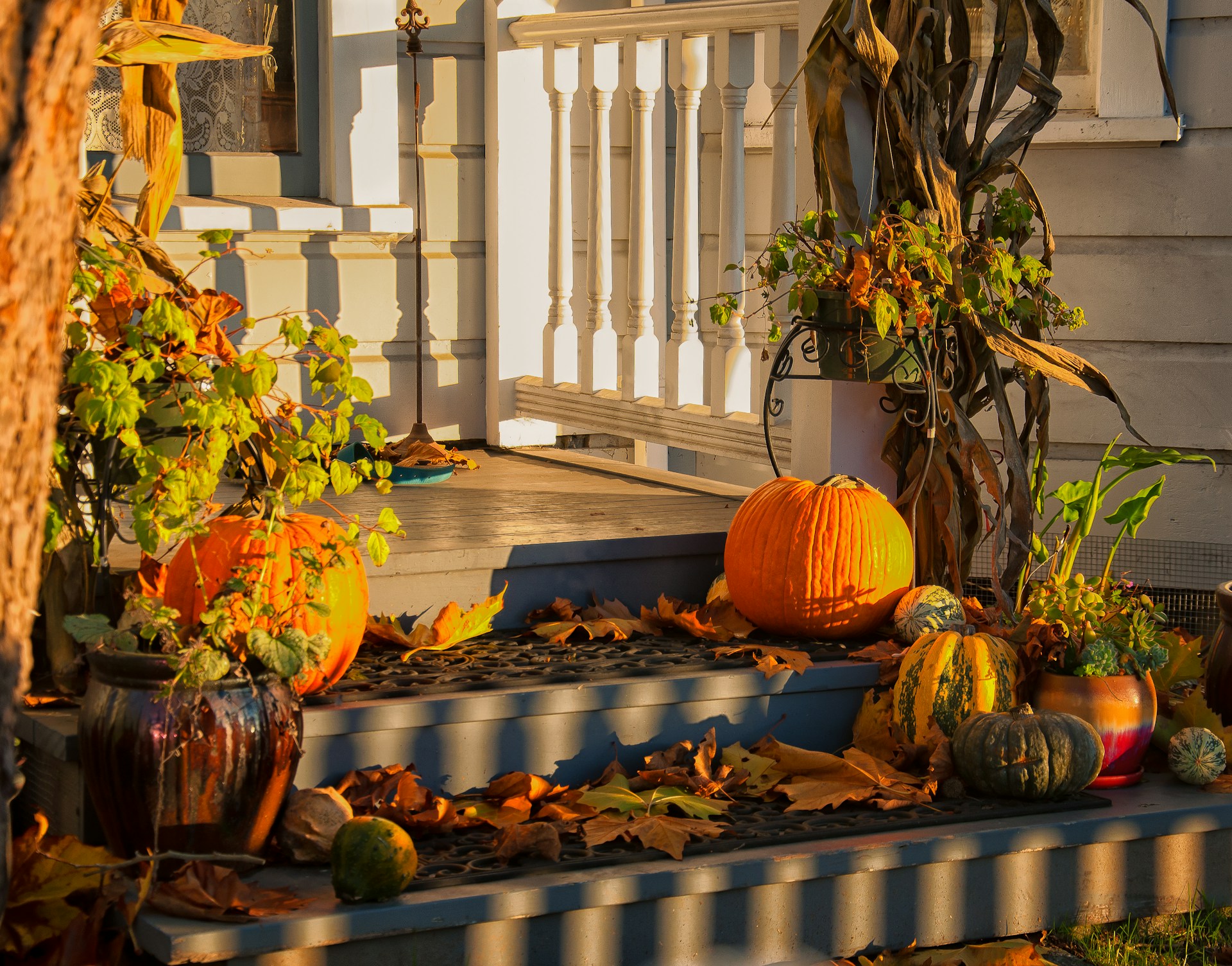 Orange pumpkins and fallen leaves on front steps by a doorway