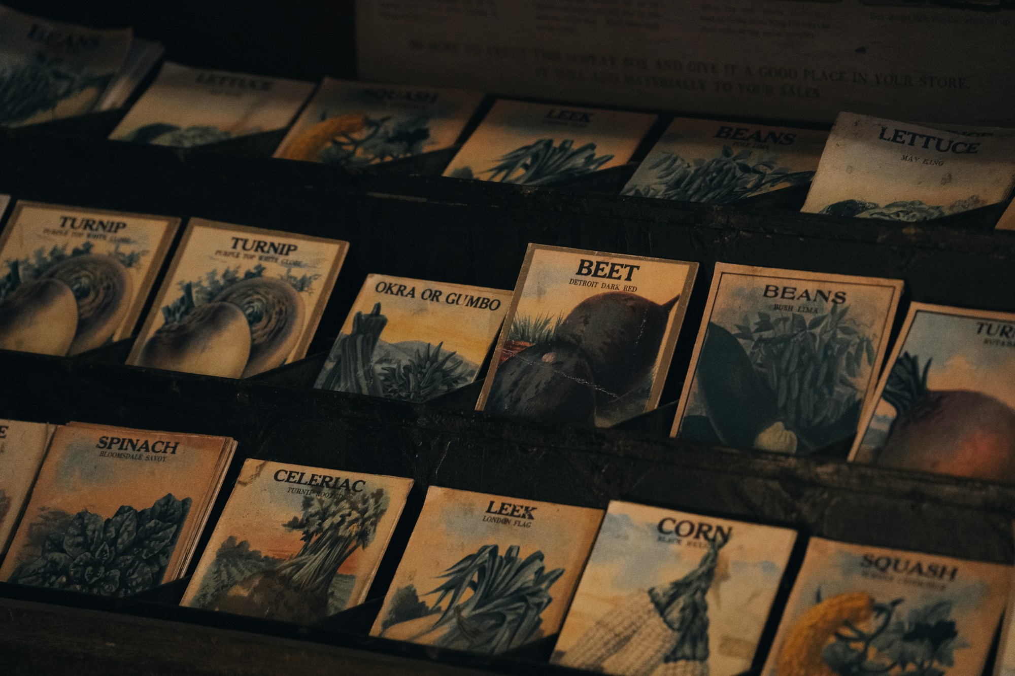 Seed packets tucked into a handmade holiday card