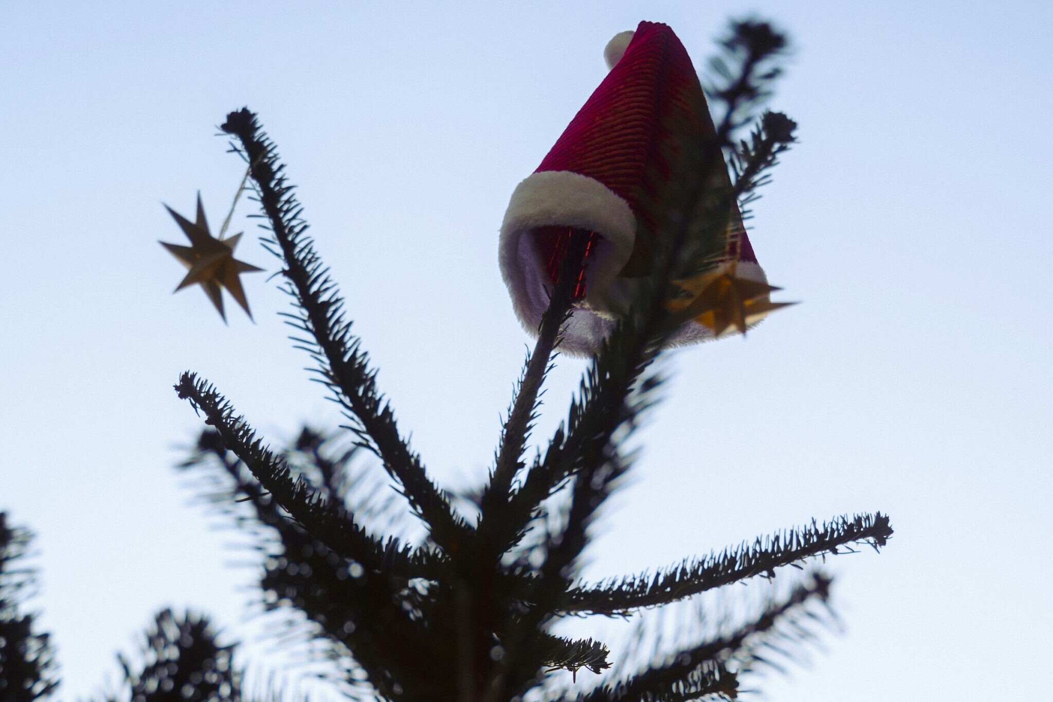 Red Santa hat sitting on the very top of a fir tree