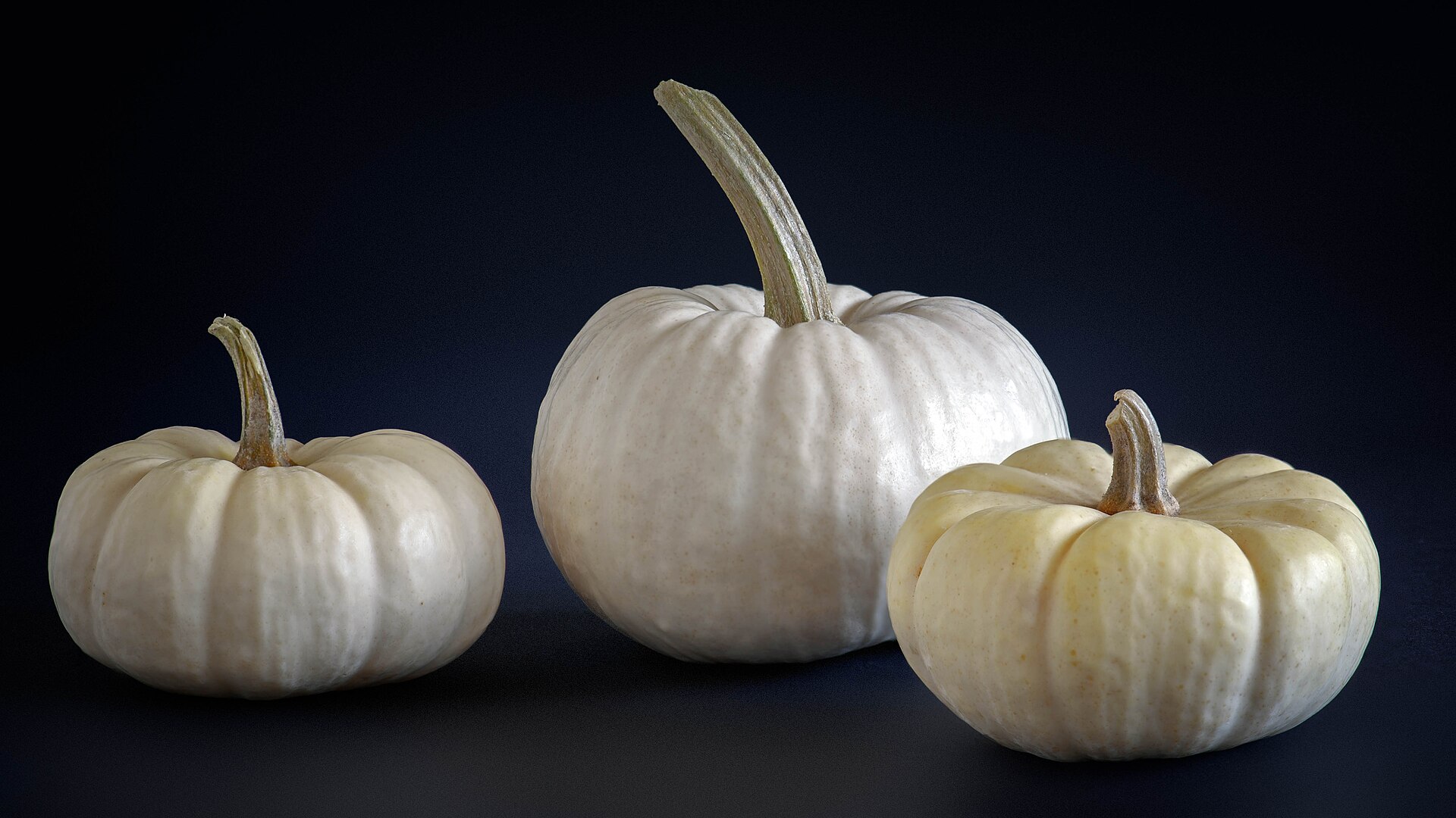 Three white mini pumpkins with curly stems on a dark background