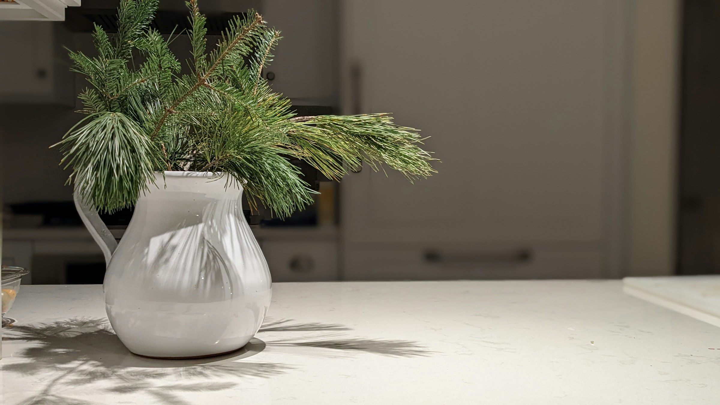White pitcher holding fresh evergreen branches