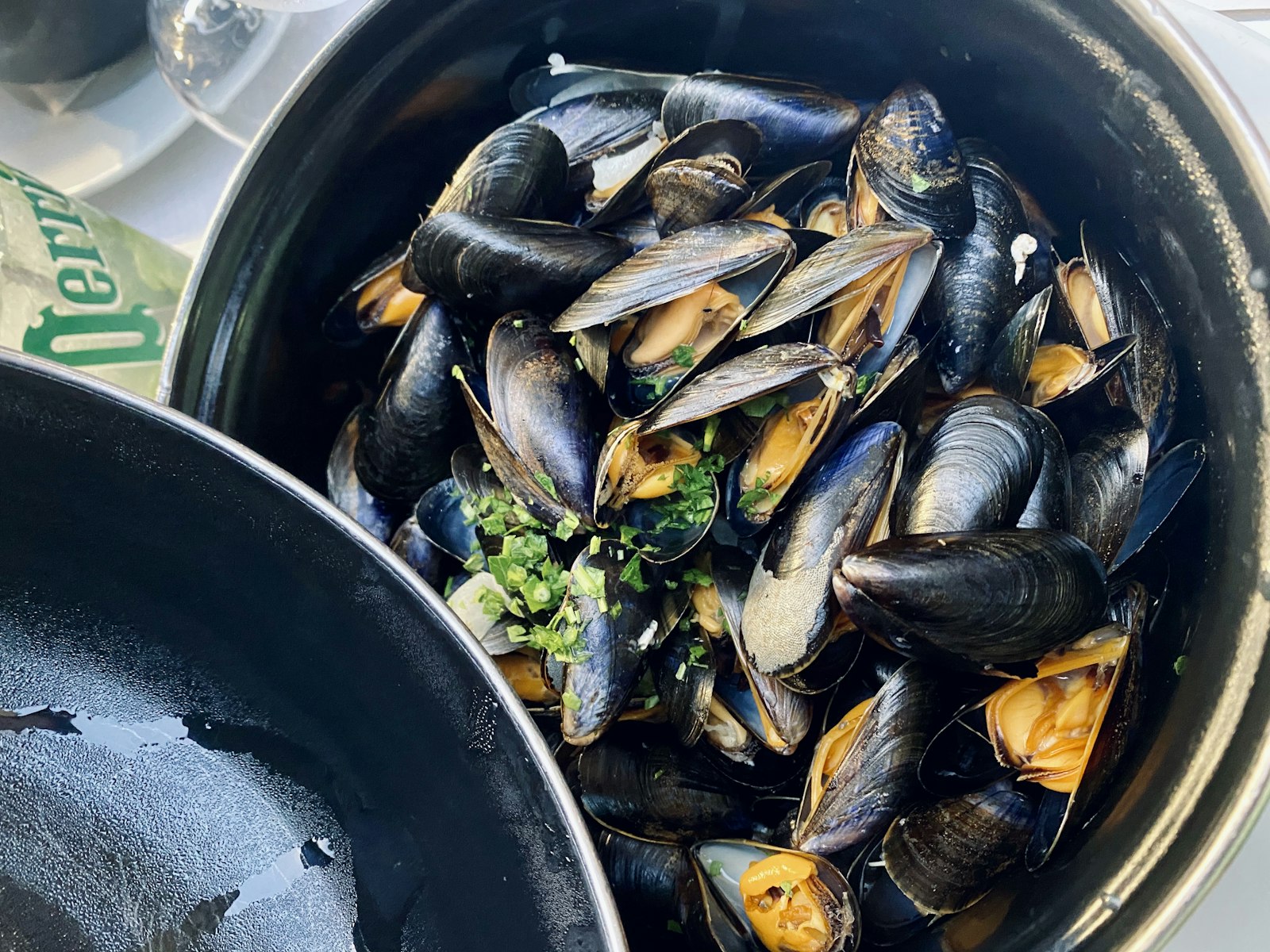 Steamed mussels in a pot with herbs