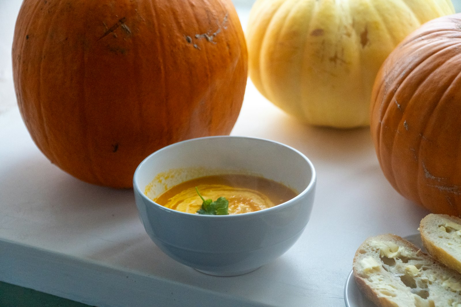 Creamy butternut squash soup in a white bowl next to small pumpkins