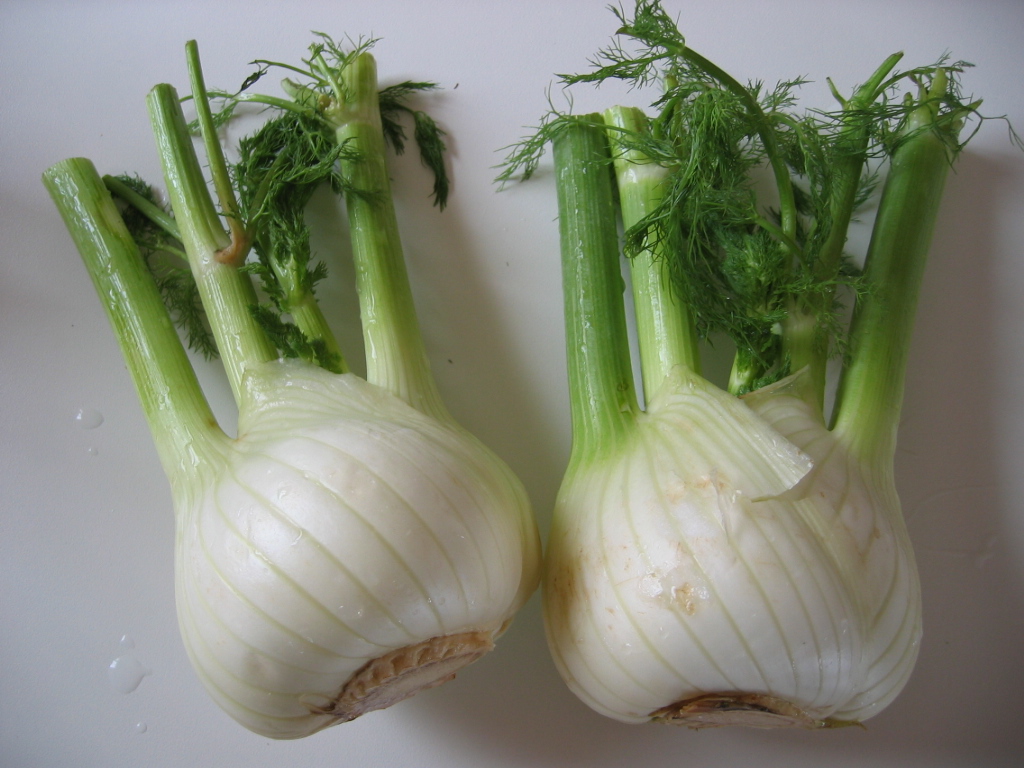 Fresh fennel bulbs on a table