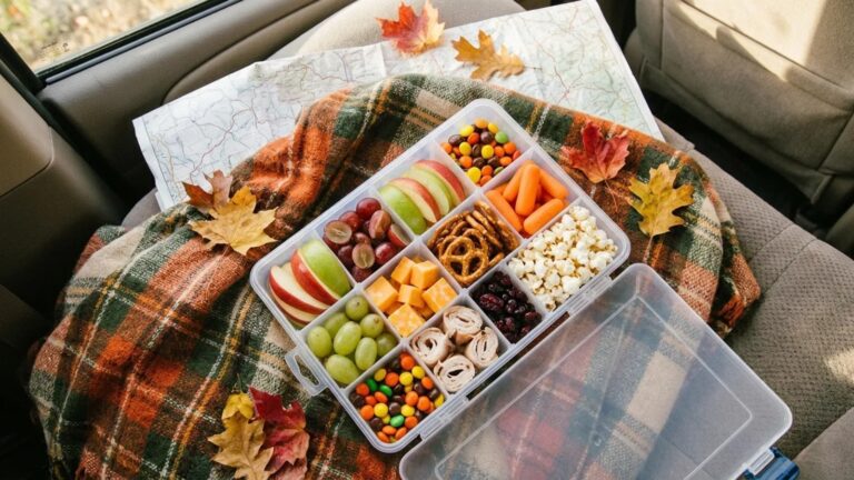 Open snackle box with apples, grapes, cheese, pretzels, carrots and popcorn on a car seat