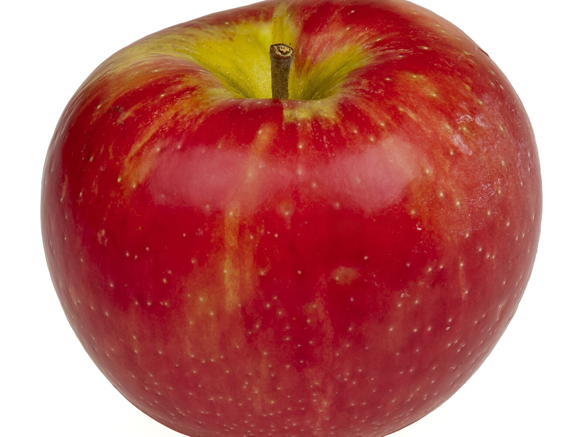 A red and yellow Honeycrisp, sweet, tart and firm enough for frying