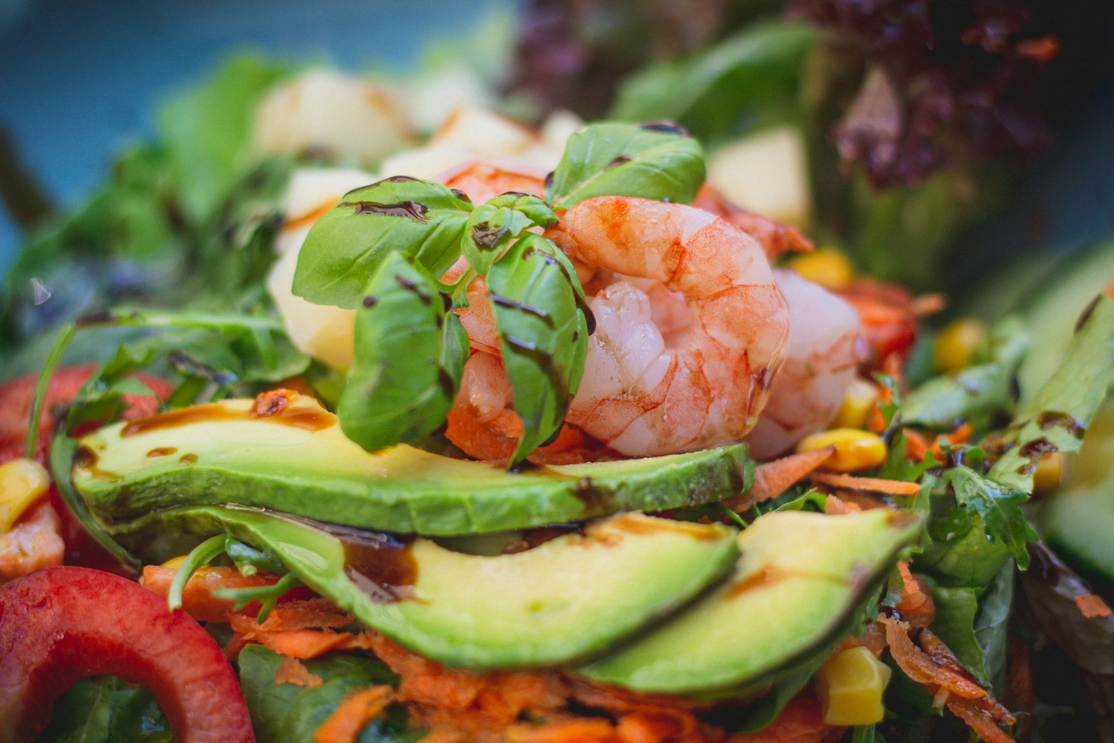 Shrimp and avocado salad with fresh greens