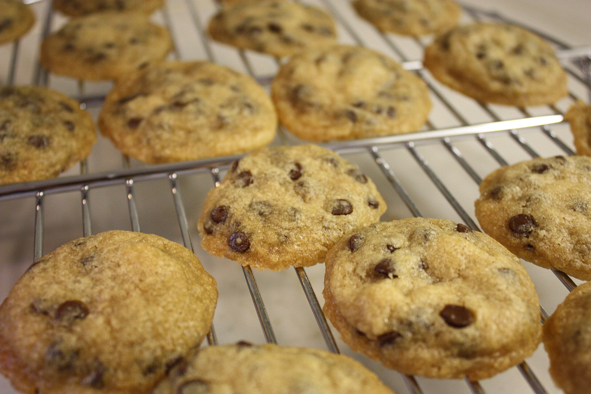 Warm chocolate chip cookies cooling on a wire rack
