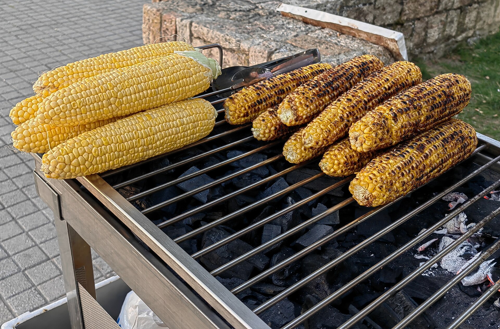 Ears of sweet corn roasting on a grill