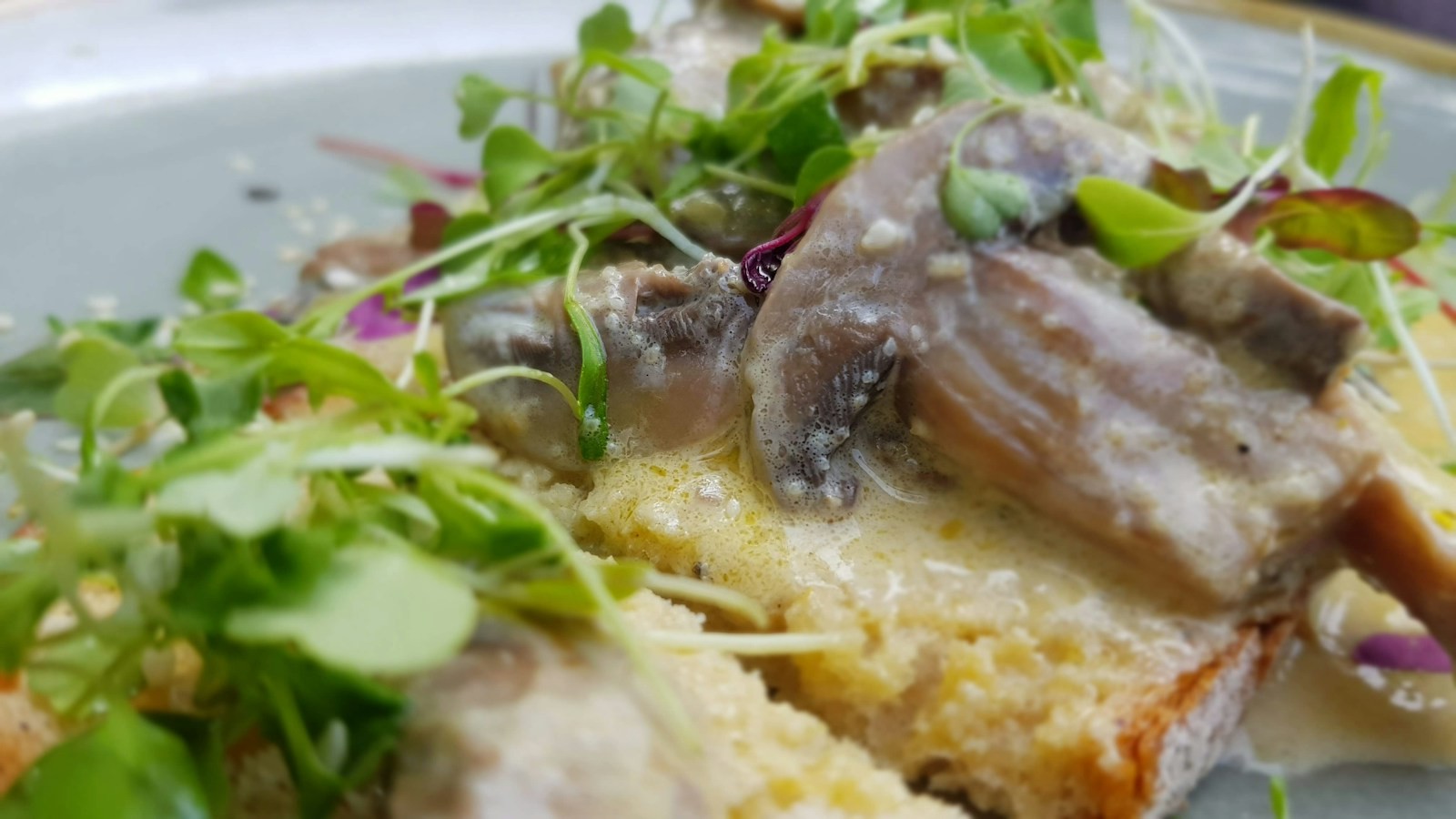Creamy mushroom toast with microgreens