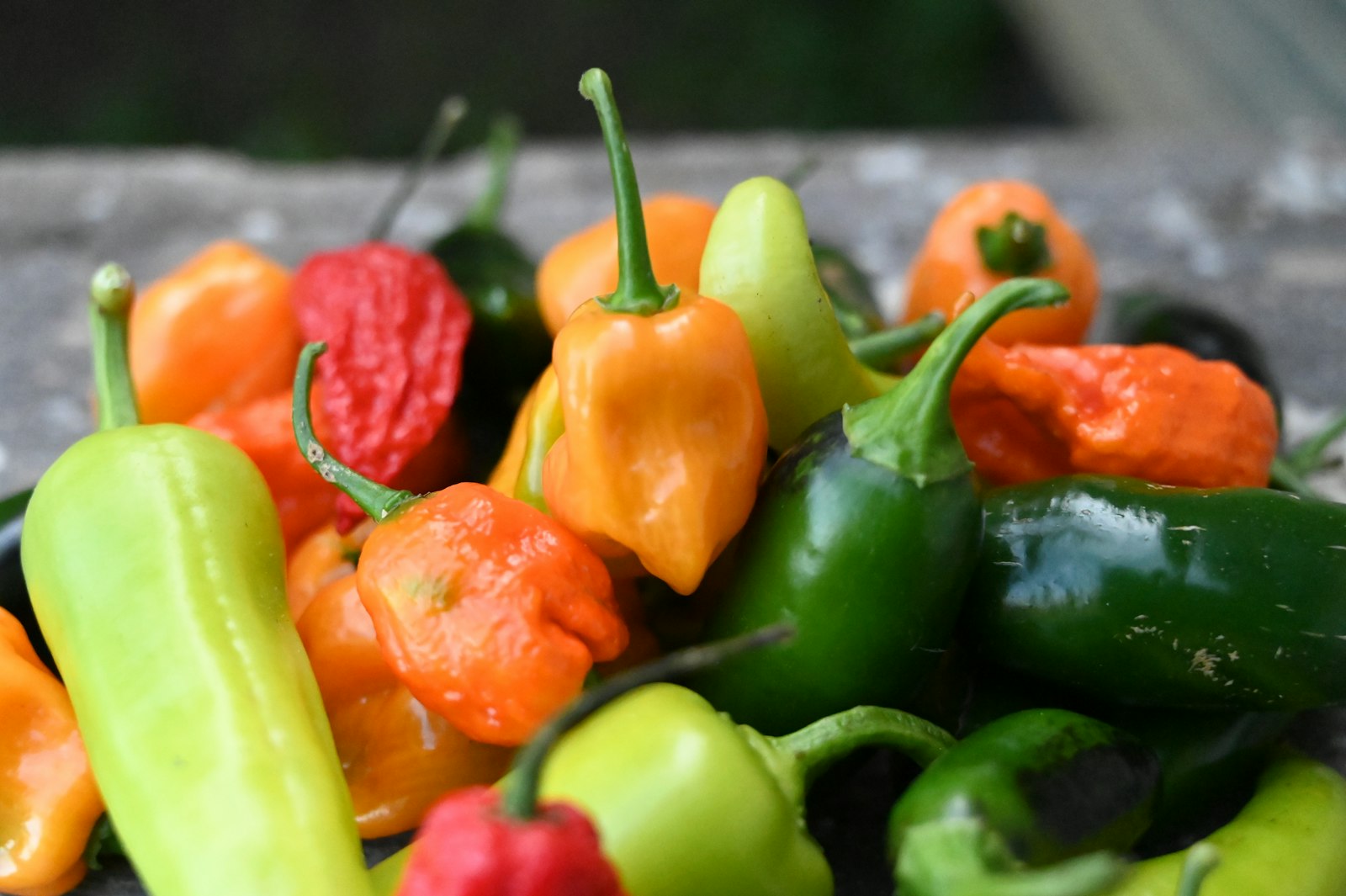 Colorful hot peppers including Scotch bonnet style chilies