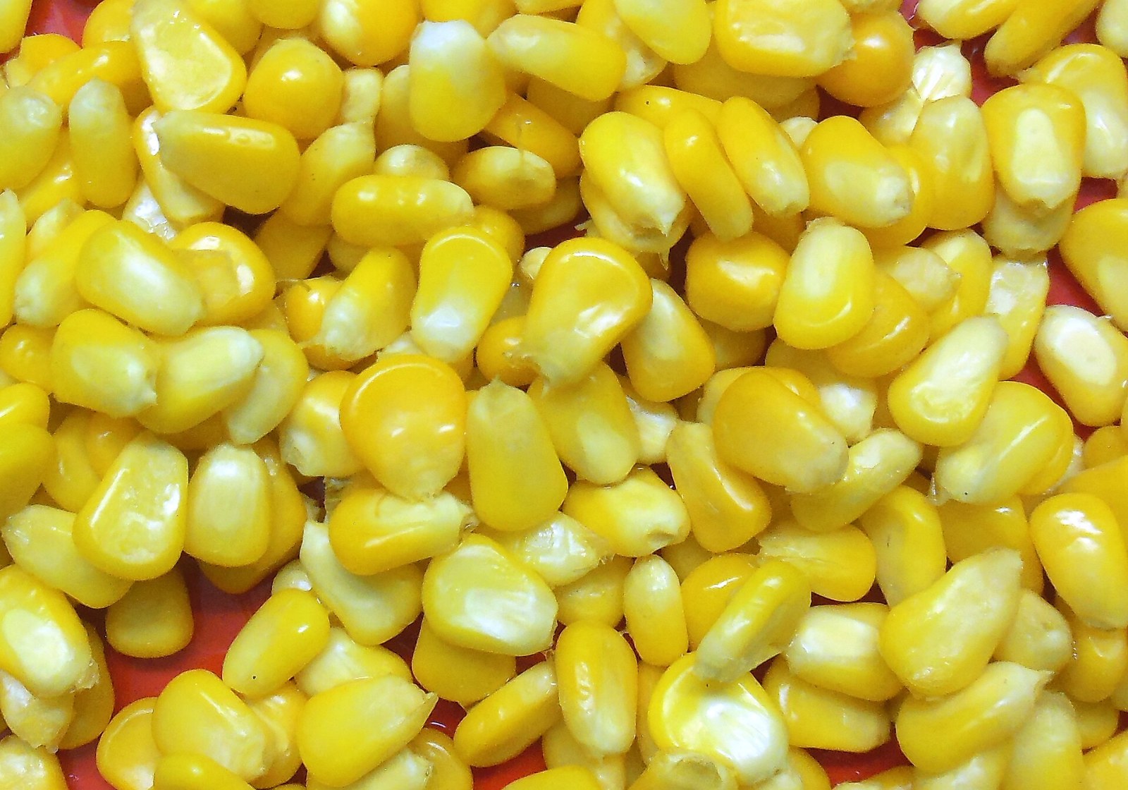 Bowl of buttered sweet corn for school lunch