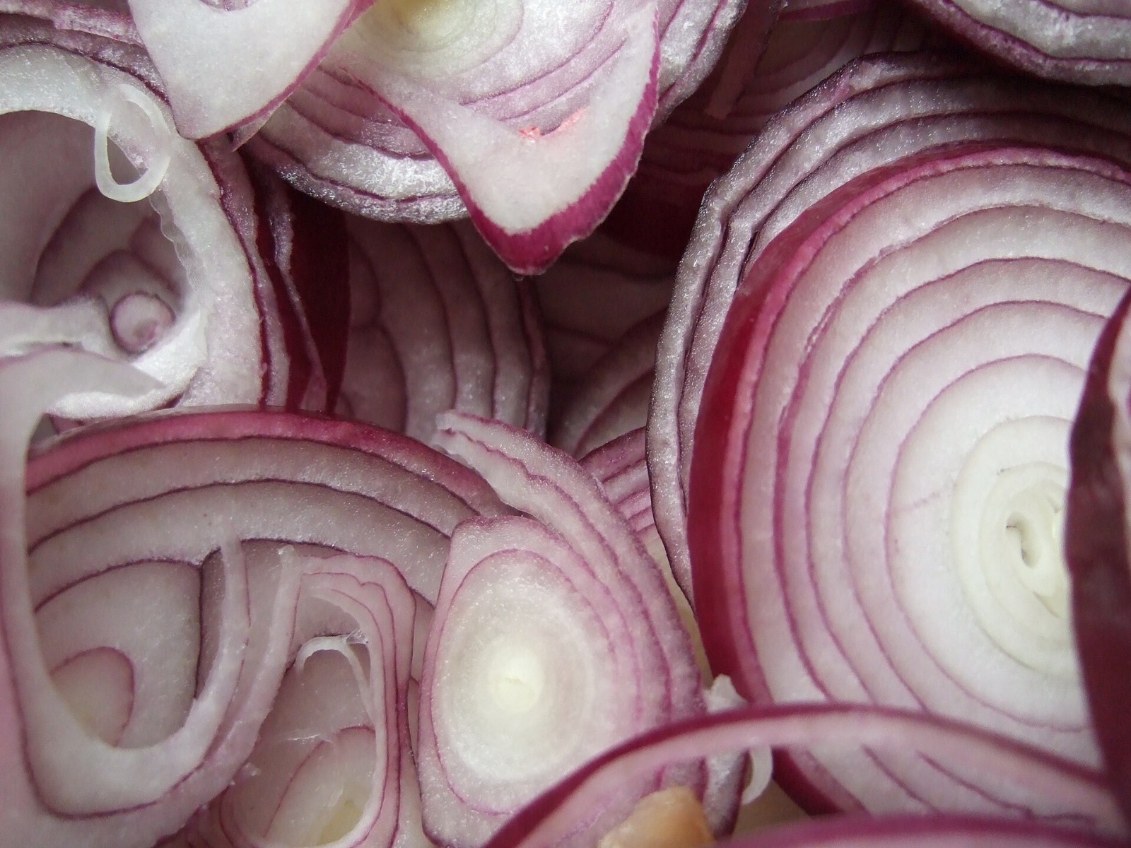 Close-up of fresh sliced red onion rings for blooming onion recipes