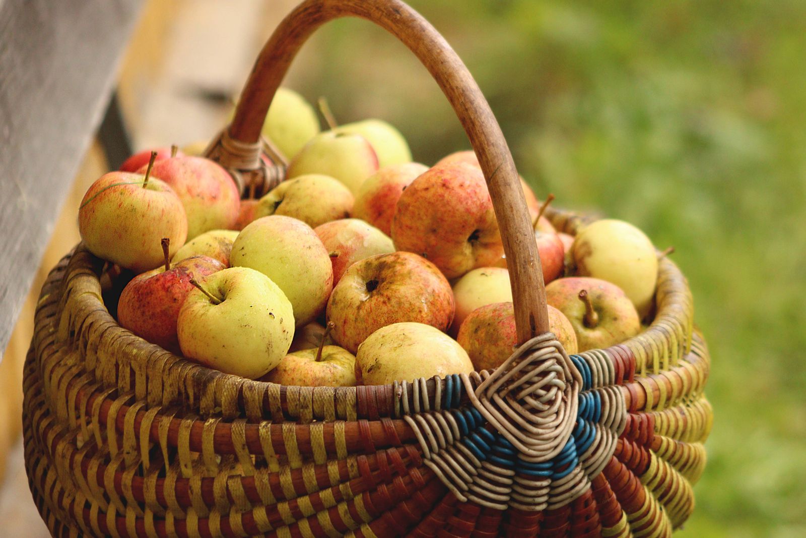 Basket of red and green apples