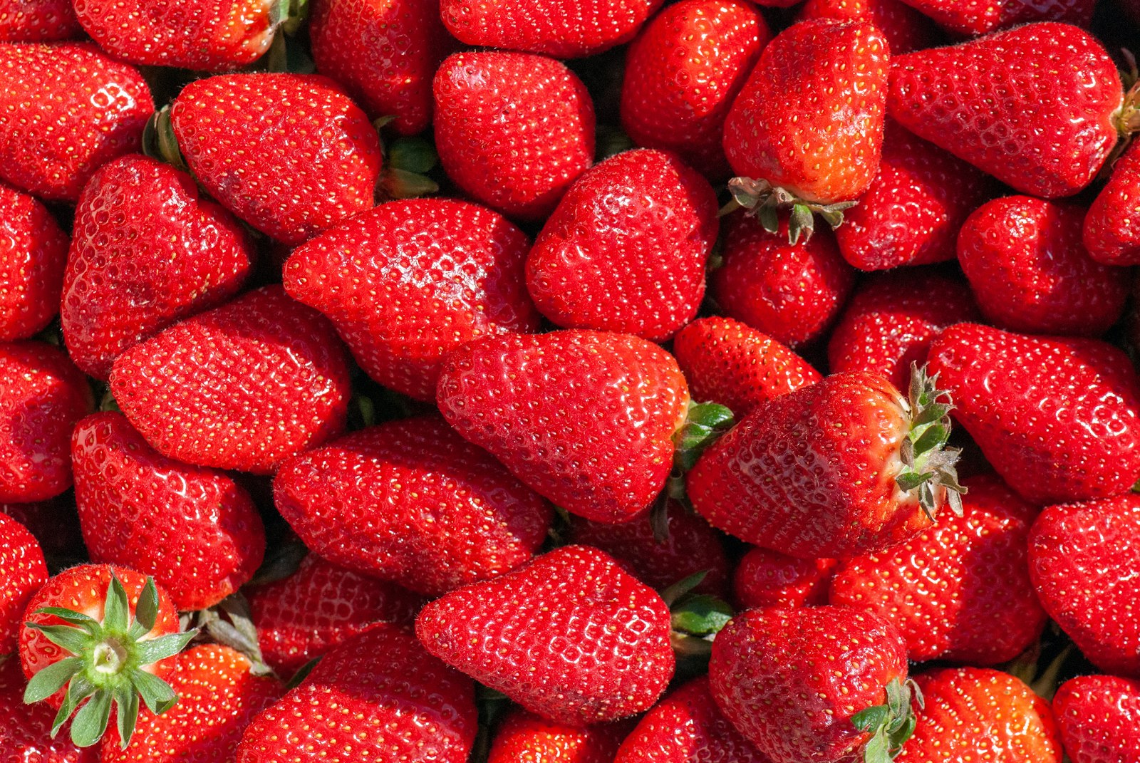 Fresh red strawberries