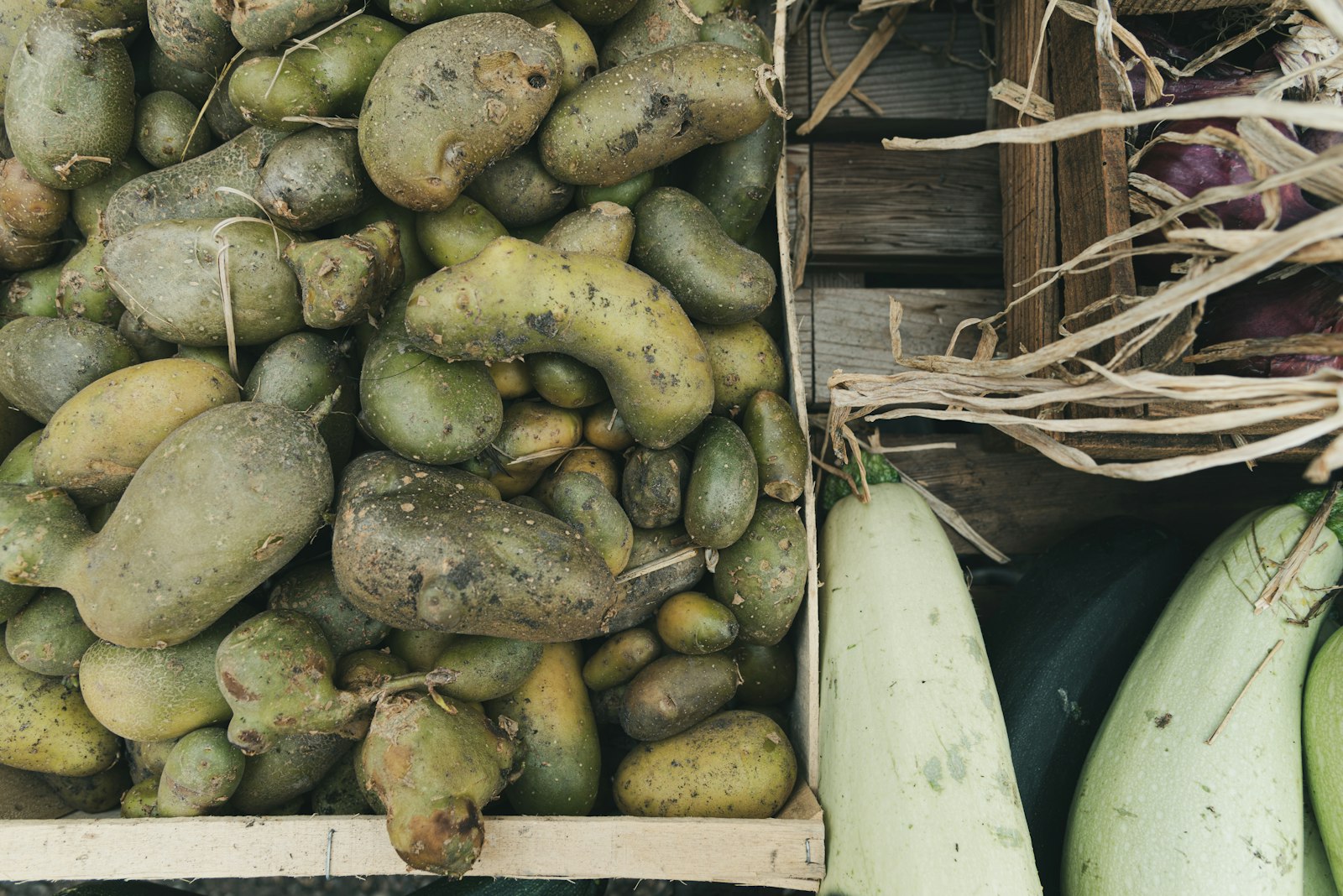 Pile of fresh potatoes