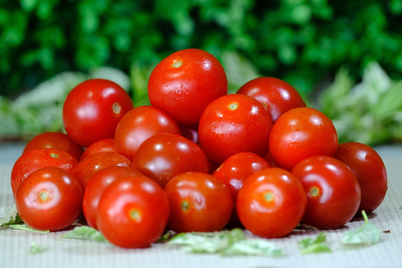 Pile of shiny cherry tomatoes