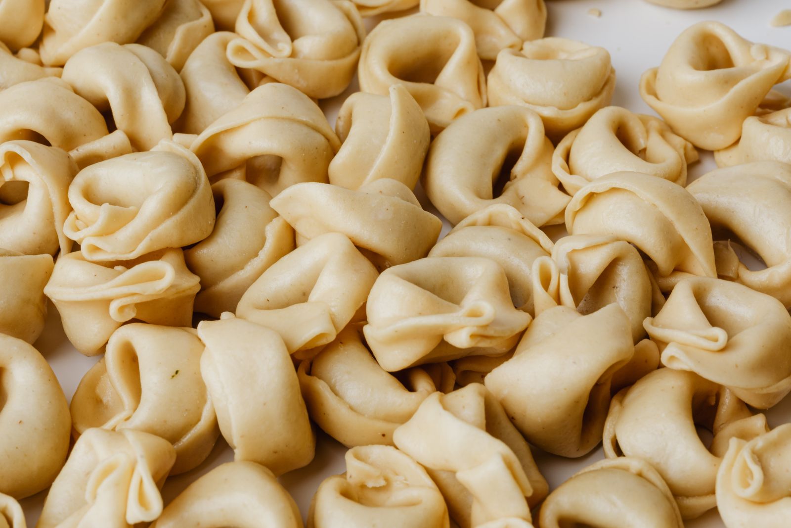 Fresh homemade tortellini