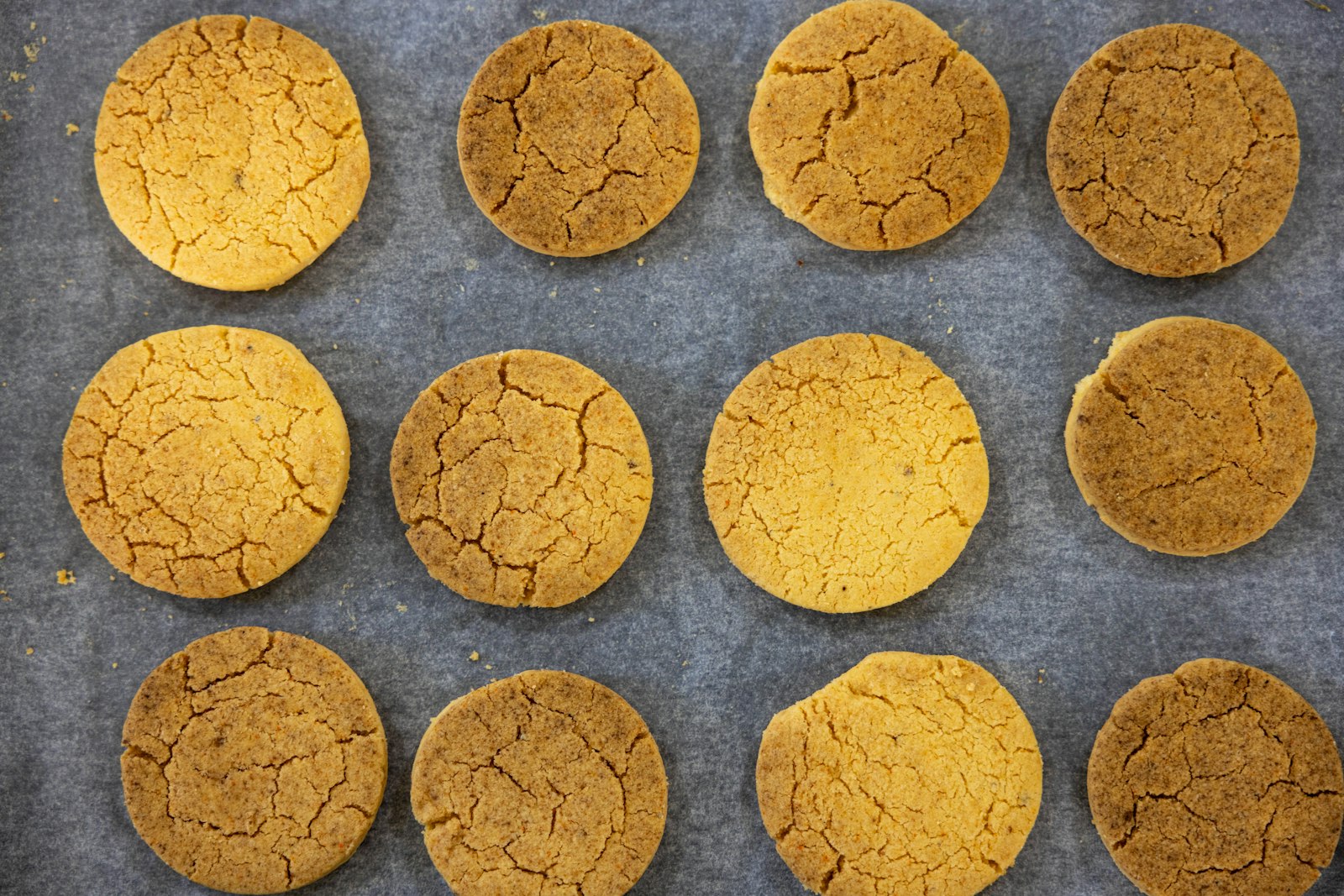 Apple cider snickerdoodle cookies on a baking tray