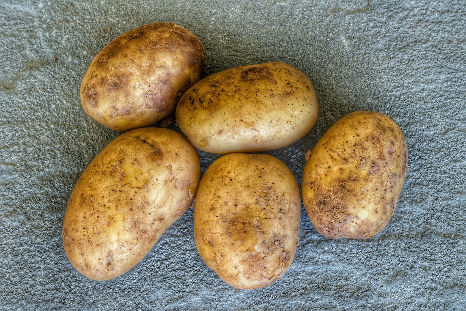 Russet potatoes on a gray counter