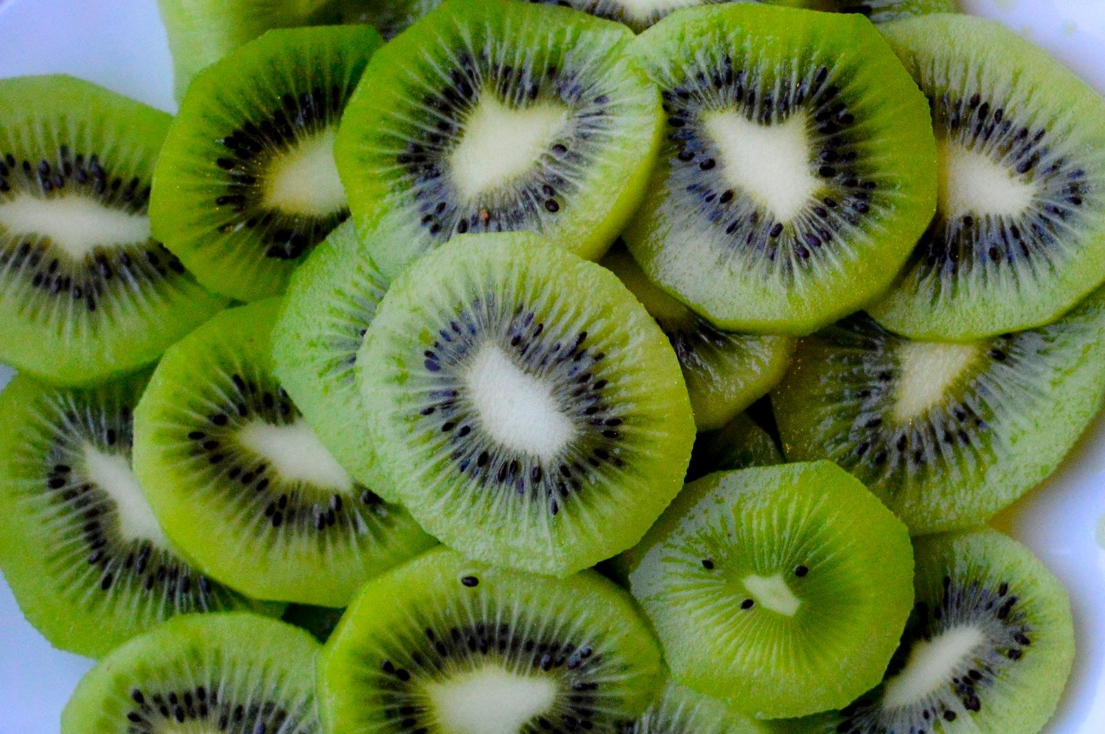 Thin round kiwi slices